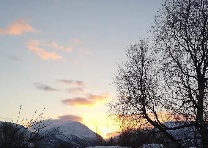 Best No1 Manndalen photo