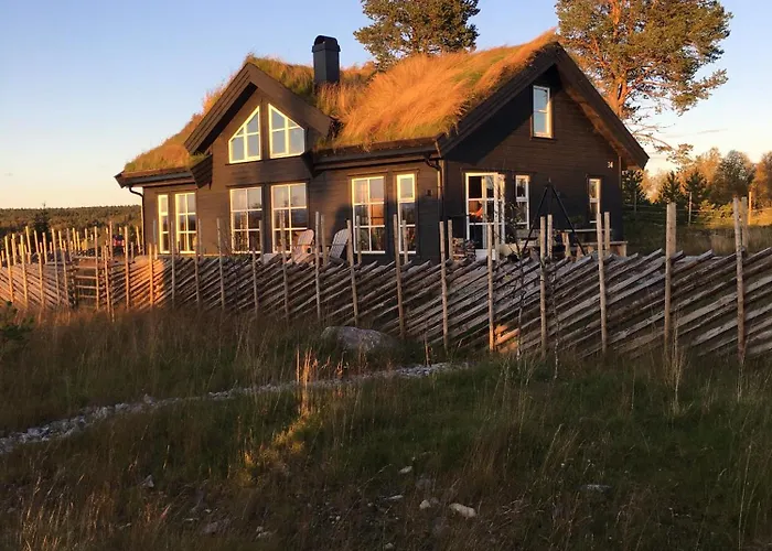 New And Cozy Family Cabin On Golsfjellet photo