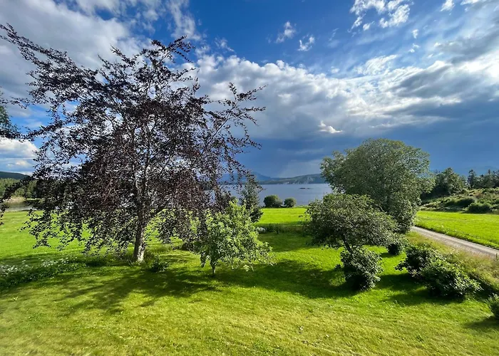 Stenegarden Namsos photo