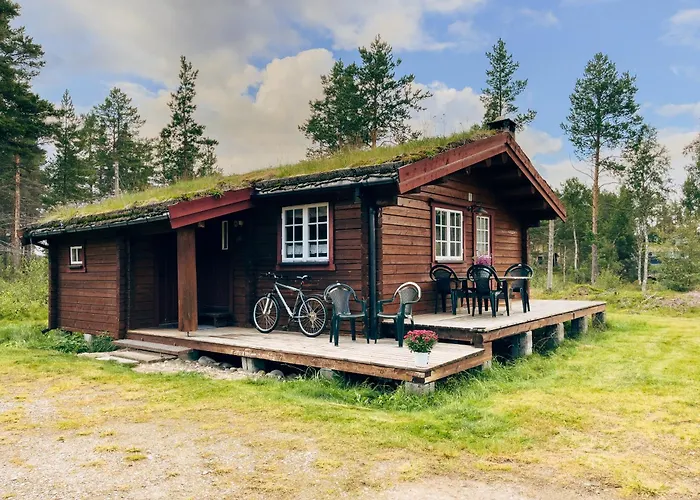 Ryen Hytteutleie - Cottages Roros photo