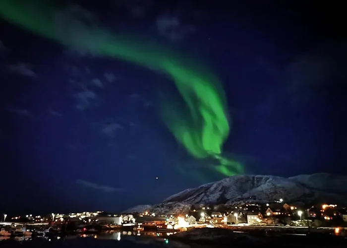 1. Etg I Dampskipsbrygga, Lodingen Havn תמונה