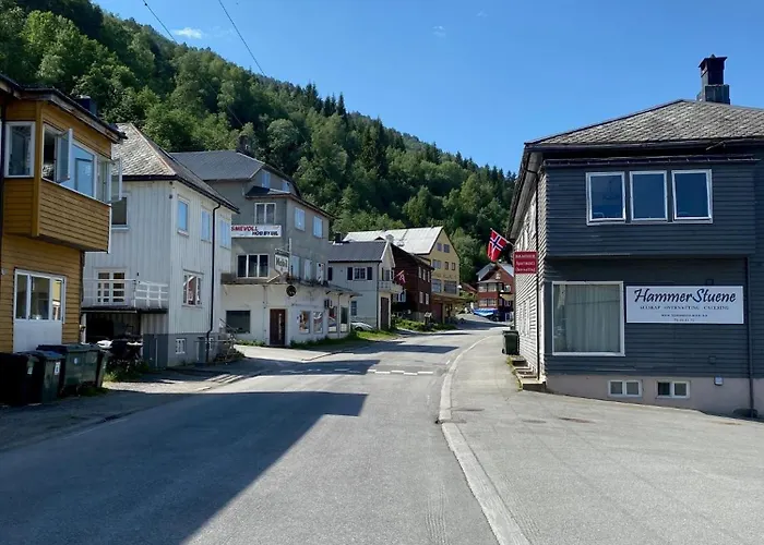 Hammerstuene Mat - Og Gjestehus Surnadal photo