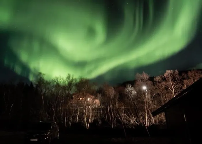Moose Island- Lofoten, Tromso, Senja In One Step Engenes zdjęcie