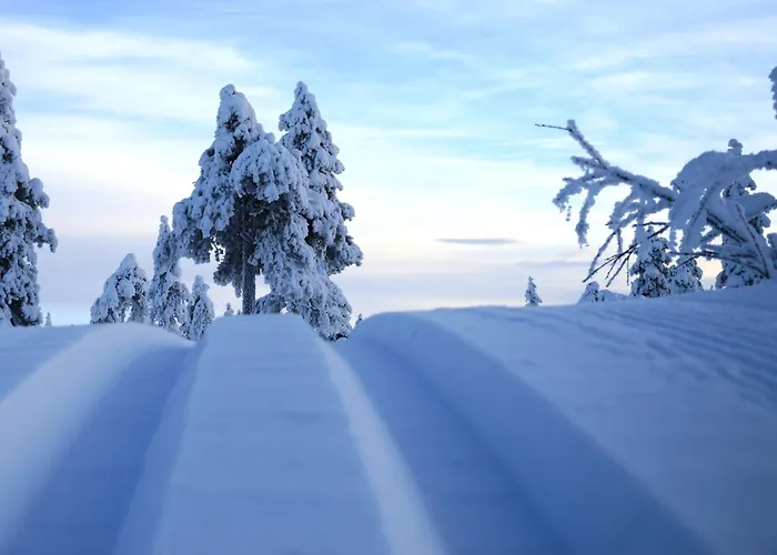 Apartmán Hjornet - Fulufjellets Nasjonalparker - Sno - Alpint - Langrenn - Snoscooter Ljordalen fotorgafie