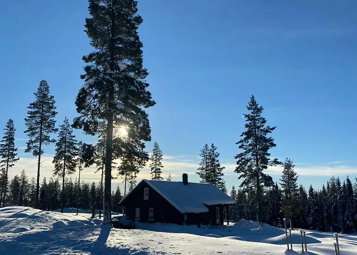 Beautiful Forest Cabin Near Ski Trails Vikaの写真