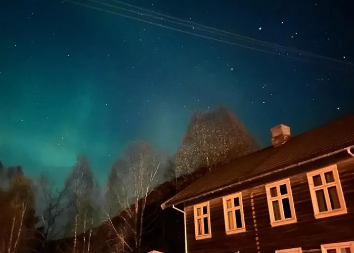 Nord-Garthus, Leilighet 2 Holera foto