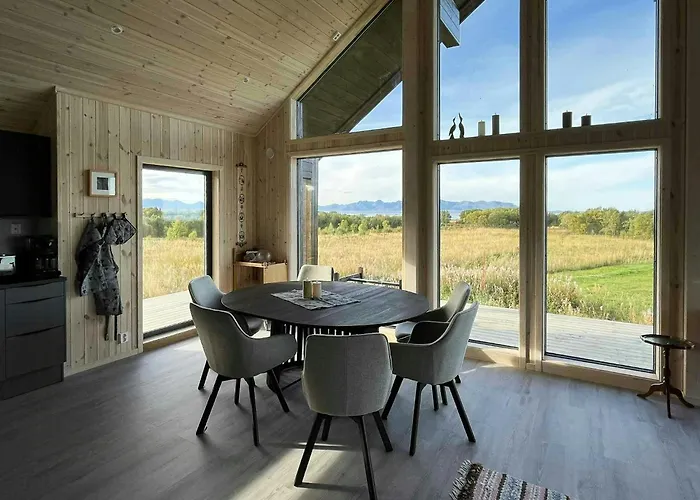 Newly Built Cabin On Andoya With Northern Lights照片