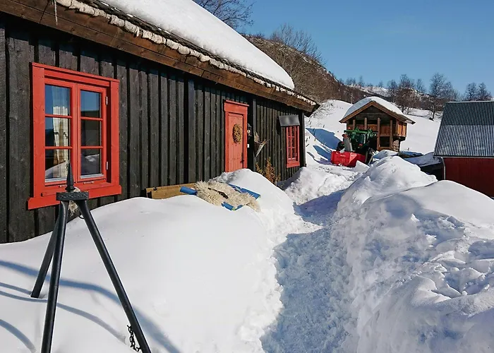 Restored Cabin From 1852 In Bergsjo Area Skarsgård foto
