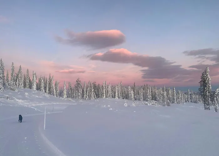 foto di Modern Cabin With Views By Ski Trail In Hadeland Roa