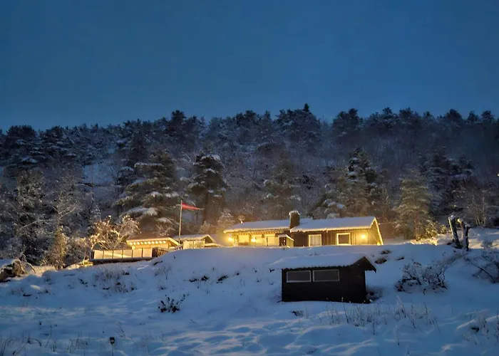 Torvikbukt 4 Person Holiday Home In Oydegard-By Traum תמונה