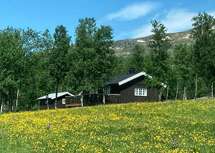 Simple Mountain Cabin Near Vinstra Graupe foto