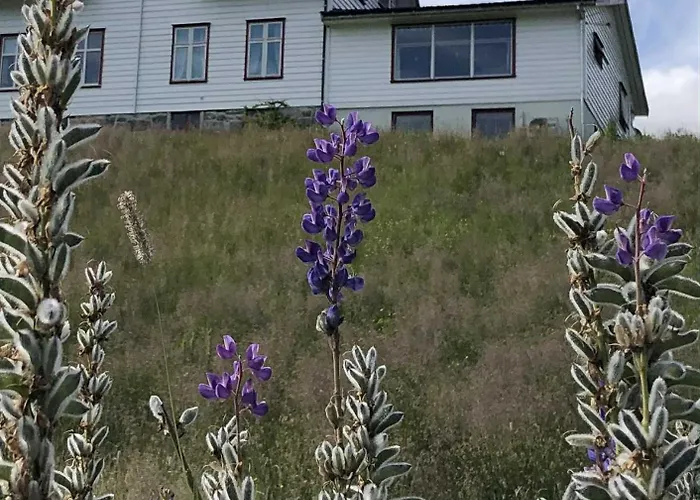 Stall Rygg Apartment, Gloppen Sorstranda foto
