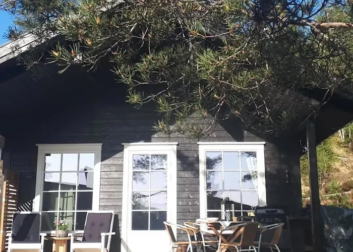 Hyttekos I Telemark Åmli foto