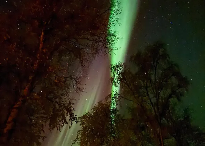 Villa Sorstraumen View Nordstraumen foto