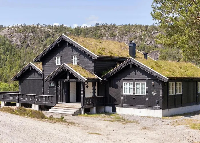 fotos do Big Family Cabin With Ski In Ski Out Drangedal