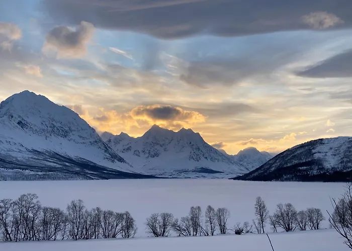Northern Light Lodge - Lyngen Veidal φωτογραφία