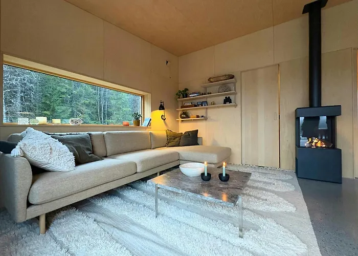 Architect-Designed Cabin By Lake With Sauna Homle fotorgafie