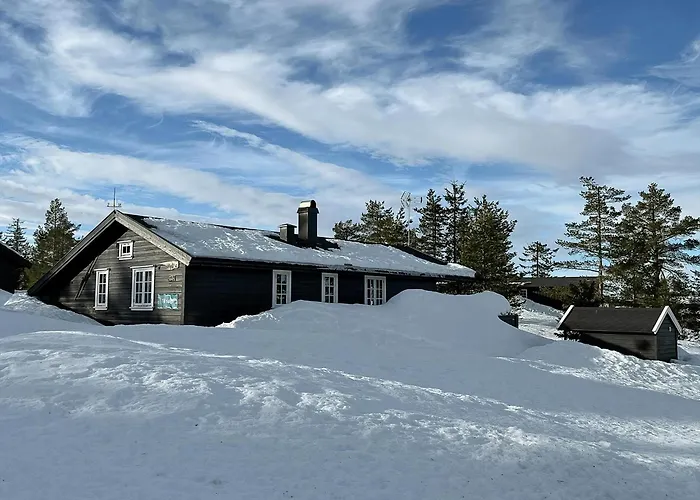 Modern Cabin With A Great Location On Blefjell 램프랜드 사진