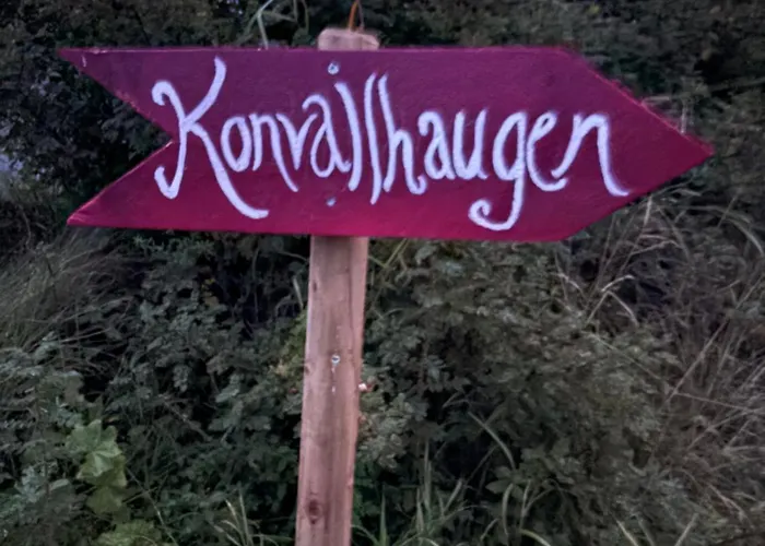 Photo de Konvallhaugen Jordalen