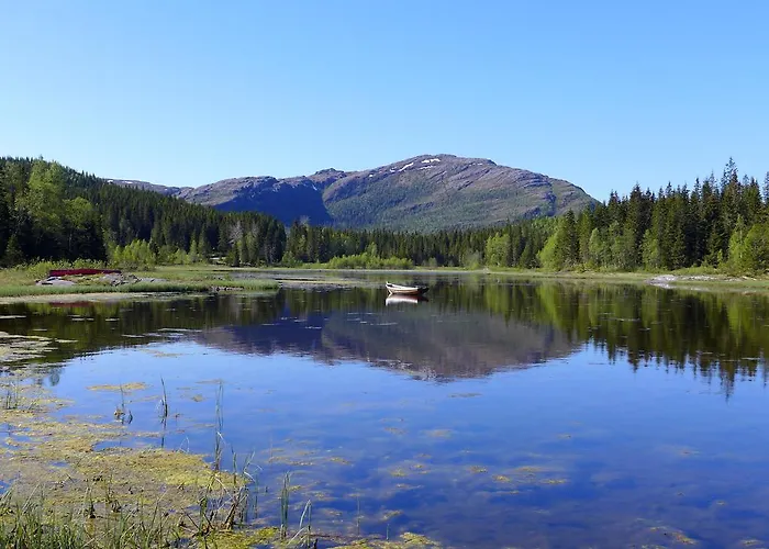 Velfjord Camping & Hytter photo