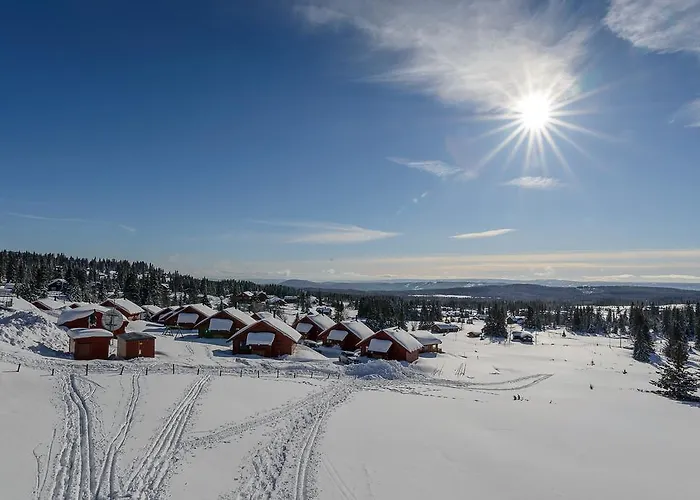 Lillehammer Fjellstue Og Hytteutleie Nordseter photo