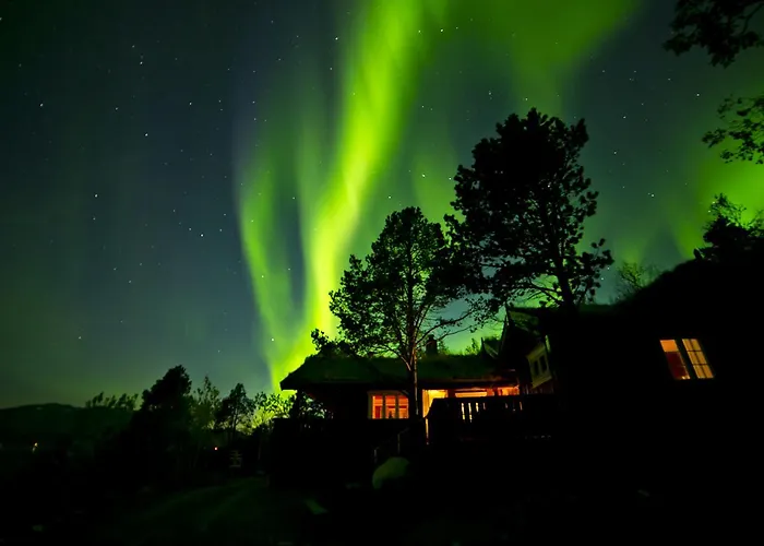 Malangen Lodge Mestervik foto
