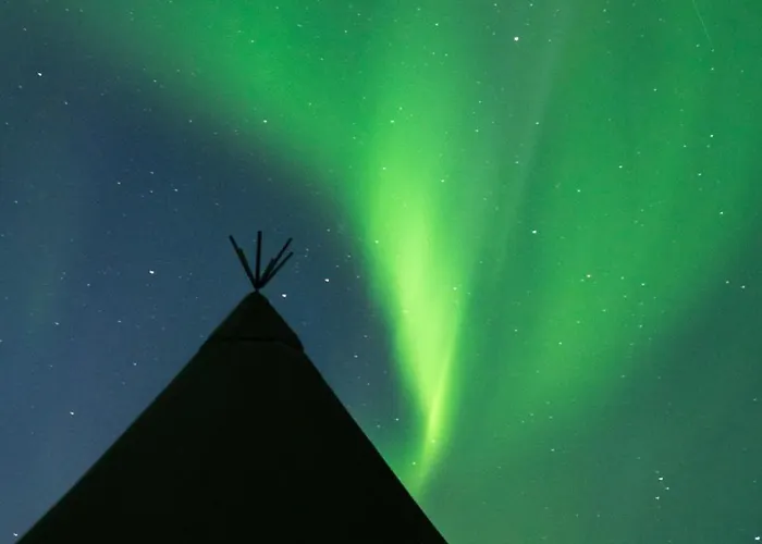 Aurora Glamping By The Whales Hotel Skjervoy photo