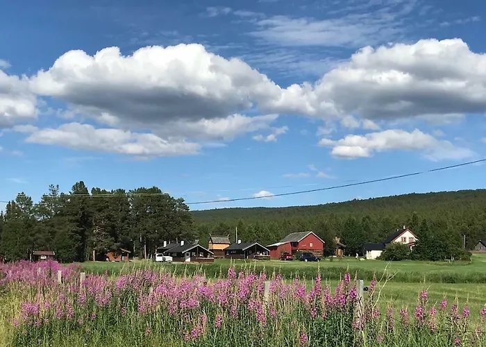 Roste Hyttetun Og Camping Os (Hedmark) photo
