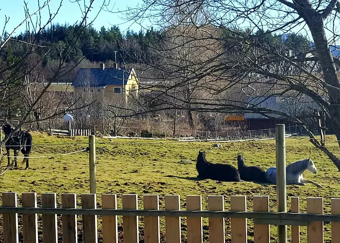 Kjorsvik Ovre Appartement Tornes foto